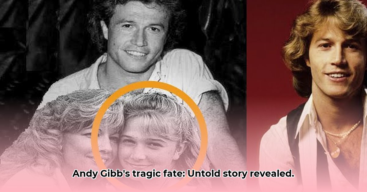 andy-gibb-net-worth